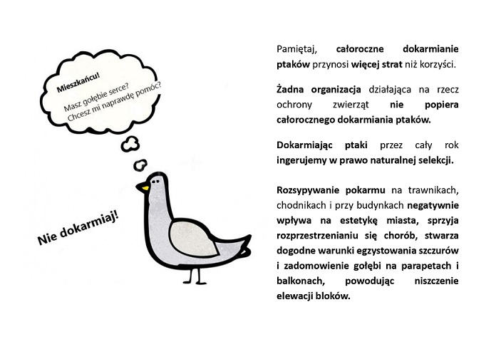 Gołąbie na strone
